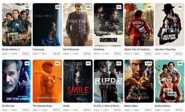 FilmyWorld.com Movie Download: A Comprehensive Guide to Streaming and Downloading Movies Safely