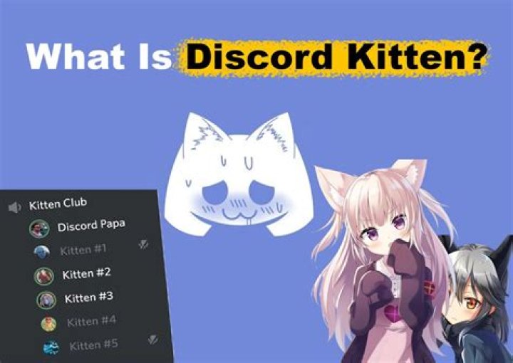 Understanding the Meaning of Discord Kitten: A Comprehensive Guide